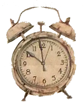 We have same-day and next-day appointments 